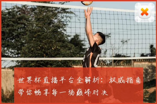 世界杯直播平台全解析：权威指南带你畅享每一场巅峰对决