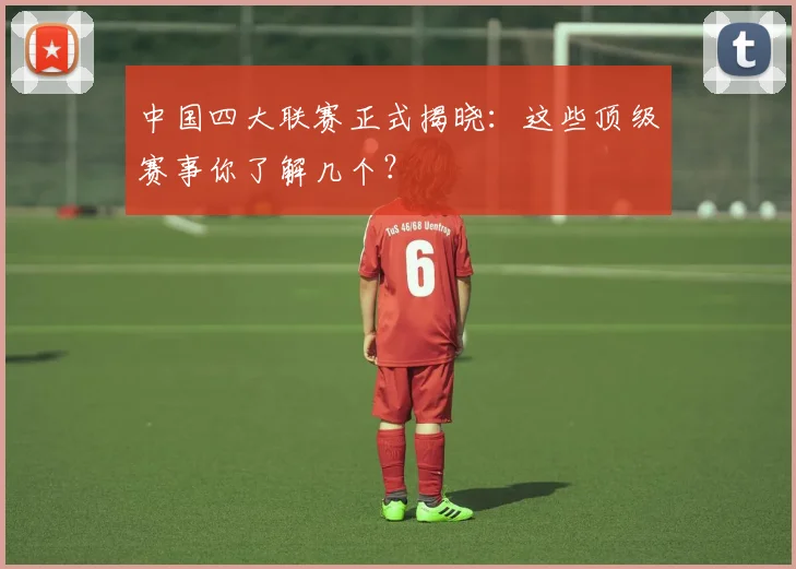 中国四大联赛正式揭晓：这些顶级赛事你了解几个？
